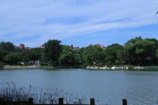 公园风景 