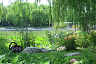公园风景 