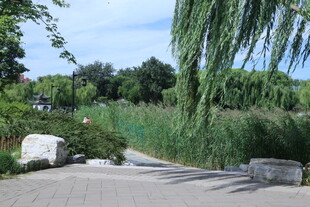 公园风景  