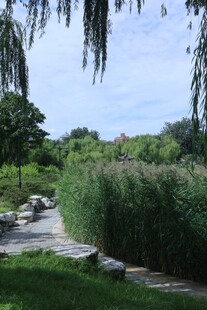 公园风景 