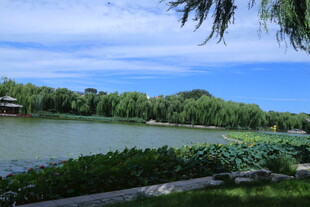 公园风景  