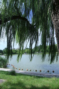 公园风景 