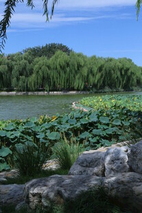 公园风景 