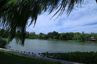公园风景  