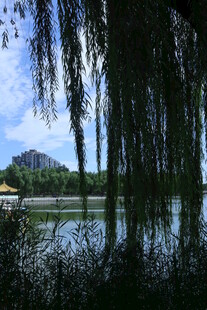 公园风景  