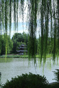 公园风景  