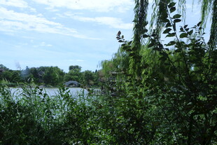 公园风景  