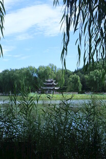 公园风景  