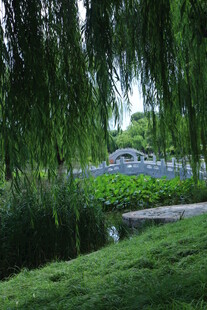 公园风景