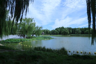 公园风景 