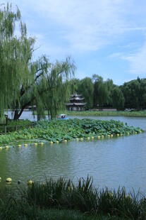 公园风景