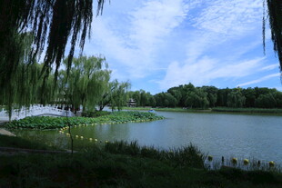 公园风景  