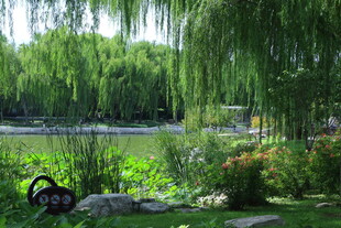 公园风景  