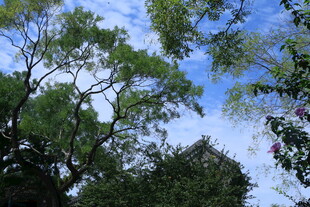 公园风景  