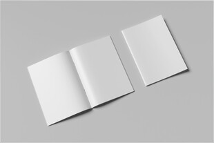 宣传册样机