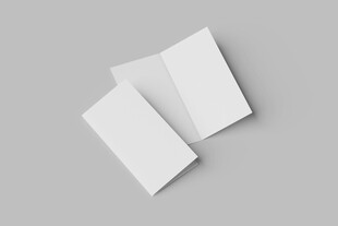 对折页样机