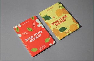 书封面样机