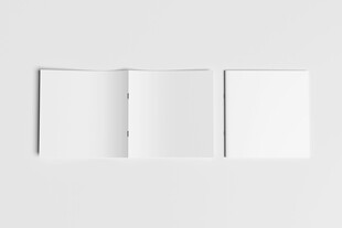 宣传册样机