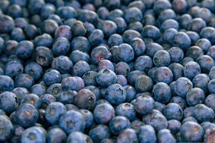 蓝莓