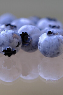 蓝莓