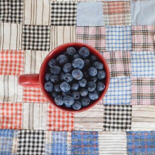 蓝莓