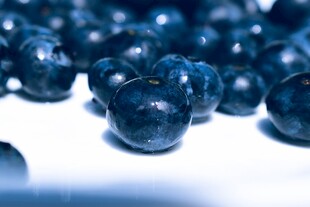 蓝莓