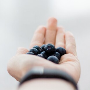 蓝莓