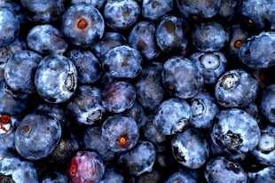 蓝莓