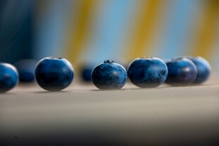 蓝莓