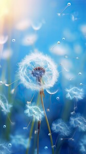 创意草地露珠蓝天吹散的蒲公英