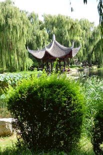 公园风景  