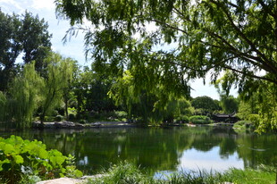 公园风景 