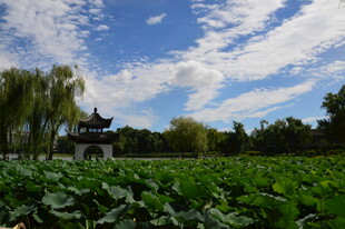 公园风景 
