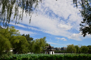 公园风景 