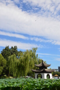 公园风景  