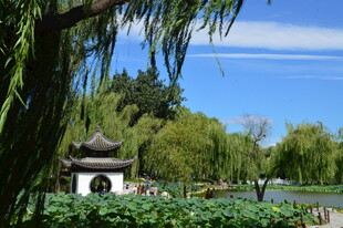 公园风景