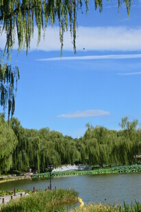 公园风景 