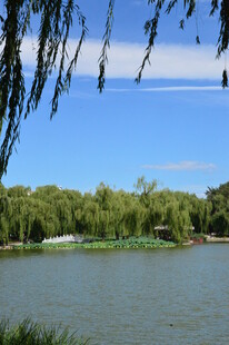 公园风景  
