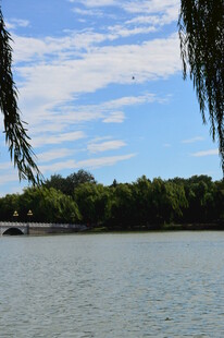 公园风景  