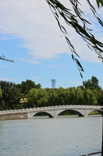 公园风景  