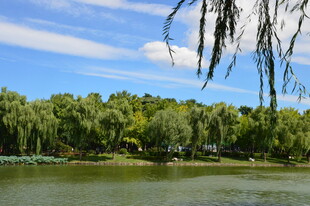 公园风景  