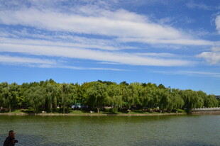 公园风景 