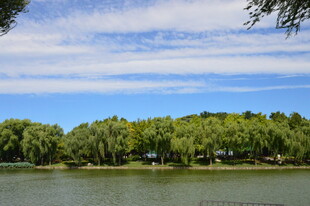 公园风景 