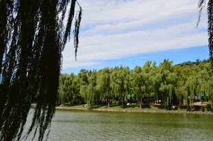 公园风景  