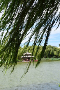 公园风景 