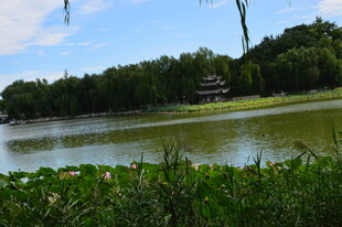 公园风景 
