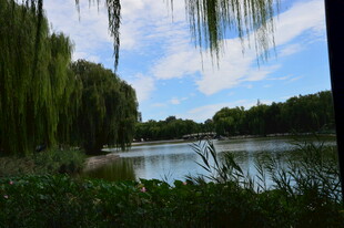 公园风景  