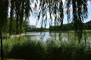 公园风景 