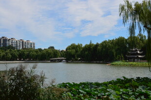 公园风景 