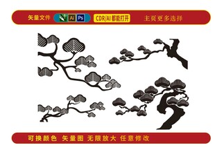 迎客松松树